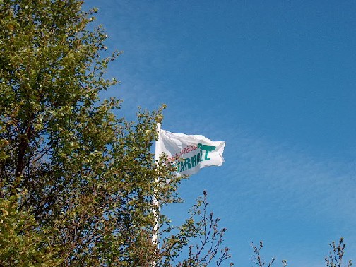 Fninn blaktir  hafgolunni, en skjl er  skginnum.